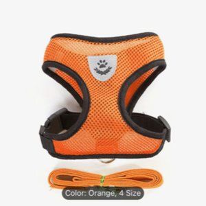 Harness and Leash Set